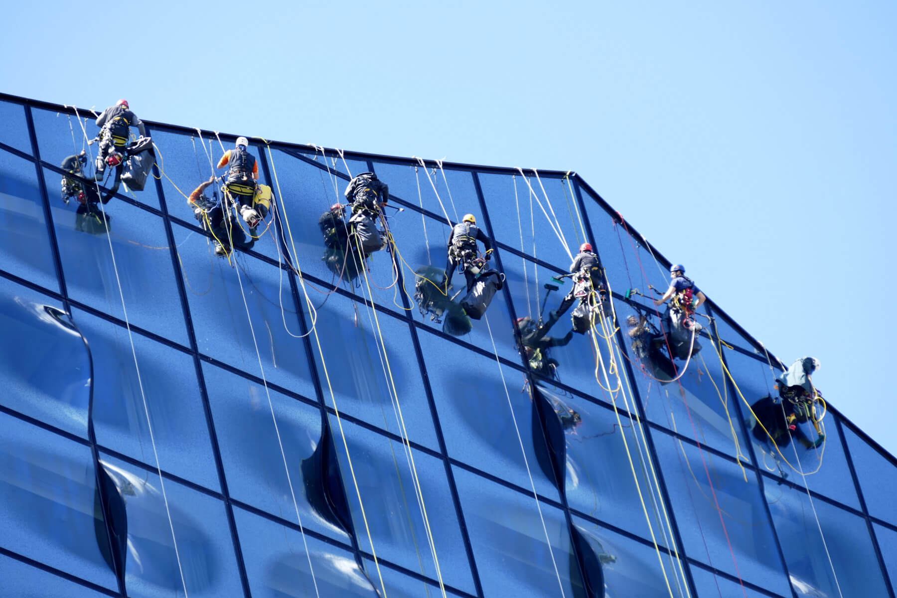 Team Gebäudereinigung mit Absturzsicherung
